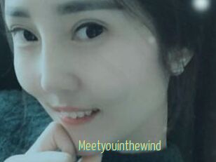 Meetyouinthewind