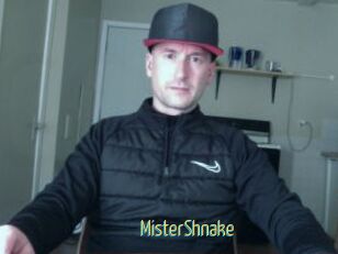 MisterShnake