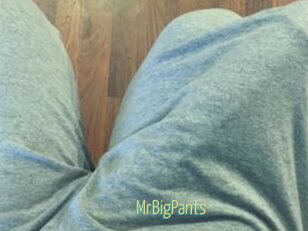 MrBigPants