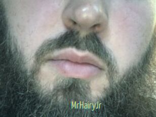 MrHairyJr