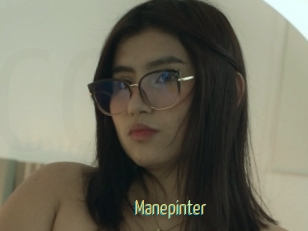 Manepinter