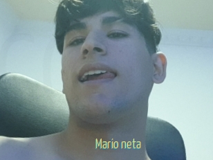 Mario_neta