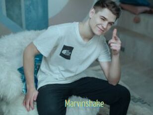 Marvinshake