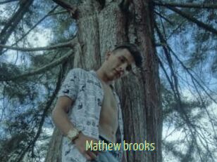 Mathew_brooks