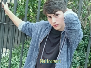 Mattrobert