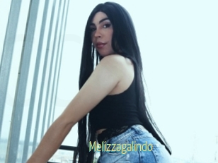 Melizzagalindo