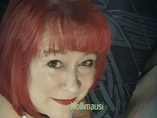 Mollimausi