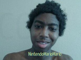 NintendoMarioMario