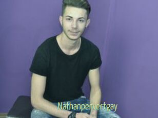 Nathanpervertgay