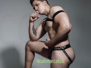 Noahmarcatelli