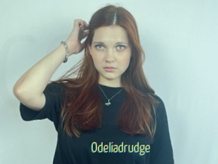 Odeliadrudge