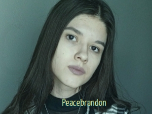 Peacebrandon