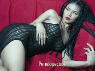 Penelopecook