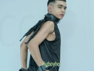 pigboyhot Chaturbate Cam Sexe
