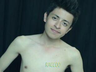 RACCOO