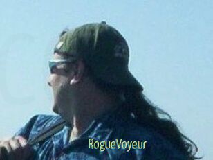 RogueVoyeur