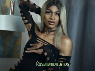 Rosaliamonteros