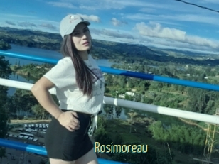 Rosimoreau