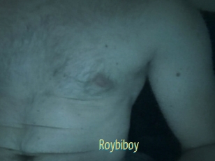 Roybiboy