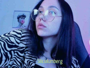 Silicialumberg