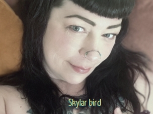 Skylar_bird