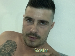 Sociallion