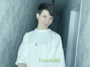 Troyemellet