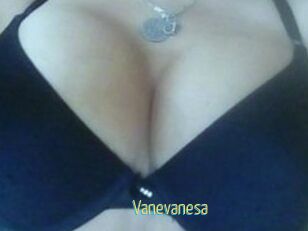 Vanevanesa