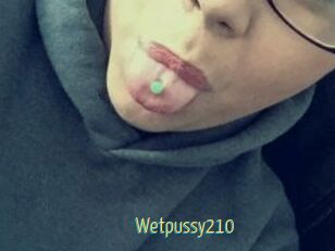 Wetpussy210