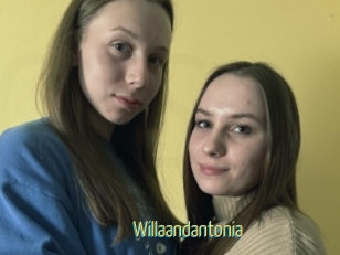 Willaandantonia